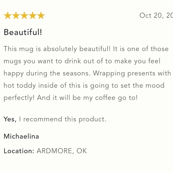 Anthropologie Nathalie Lete Santa's Sleigh Mug - Metallic gold & Bordeaux - Picture 14 of 14